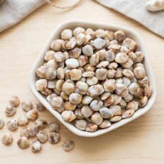 Seashell Beads - 100gm