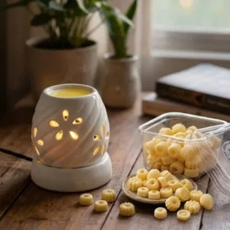 Assorted Wax Melts & Ceramic Electric Diffuser Gift Combo